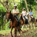 Belize-Horse-back-Riding-Equestrian-Holidays