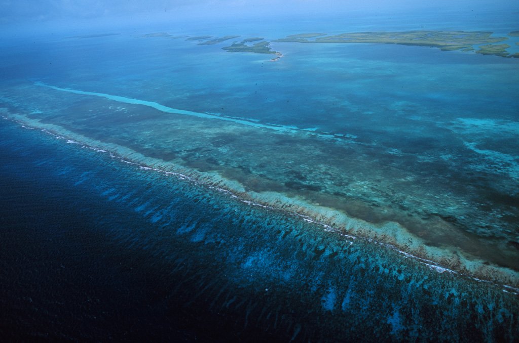 Belize Barrier Reef is the second largest barrier reef system in the western hemisphere!