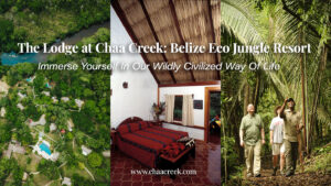 Chaa-Cree-Belize-Jungle-Resort