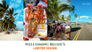 Lobster Season in Belize