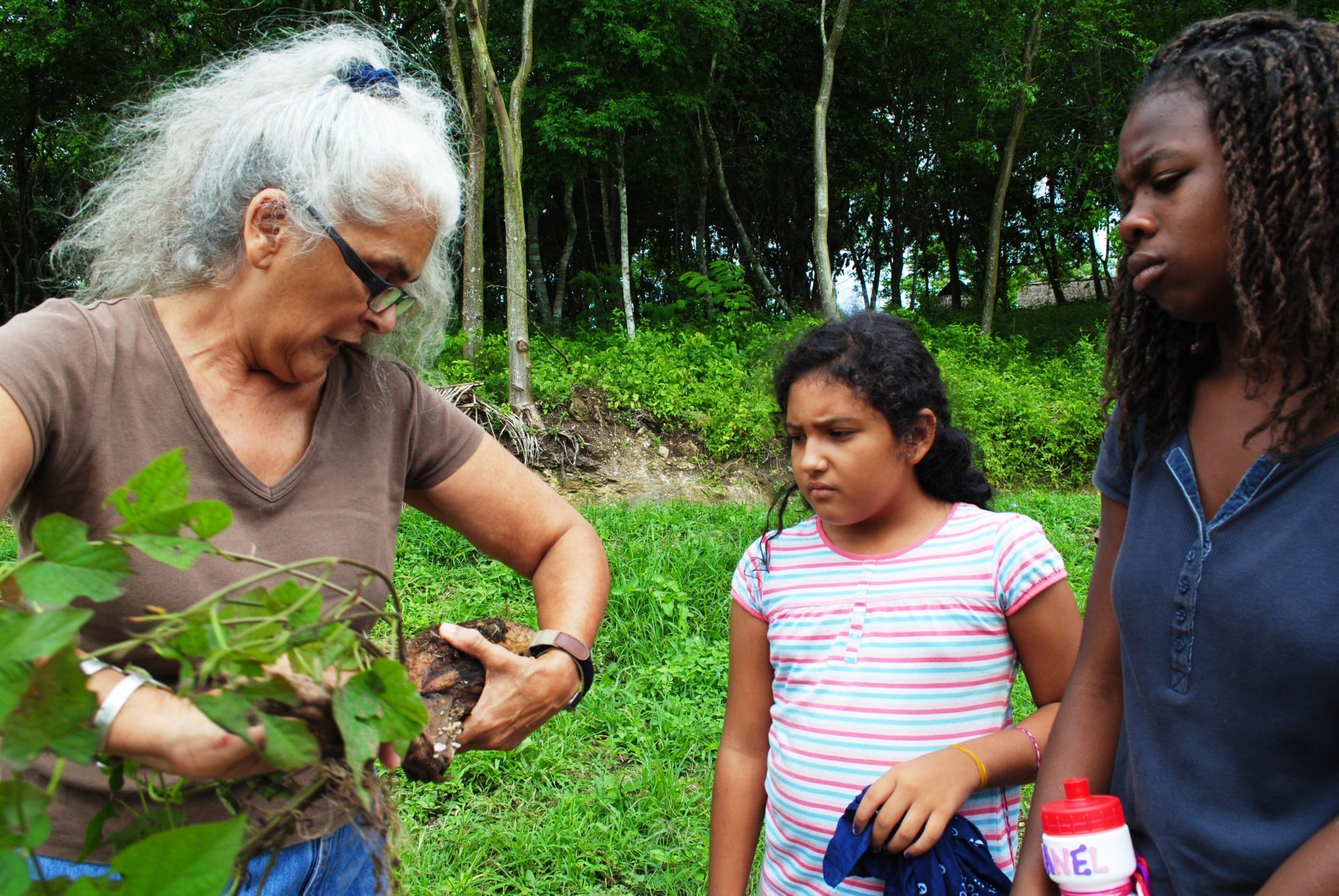 What Word Means Produce And Give Off