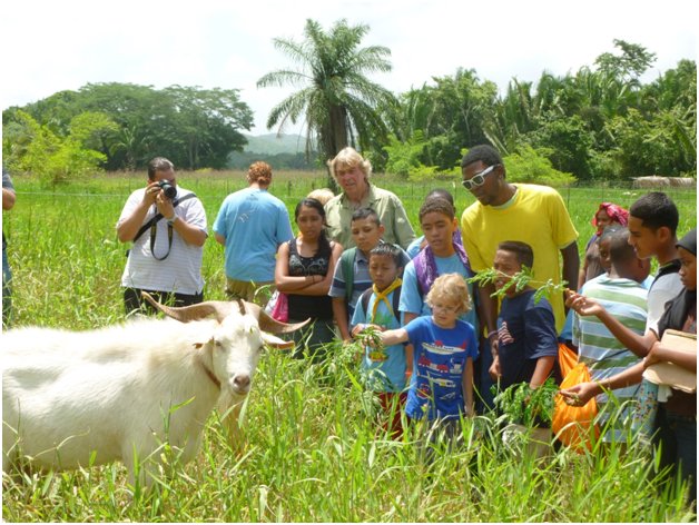 Organic Farming in Belize