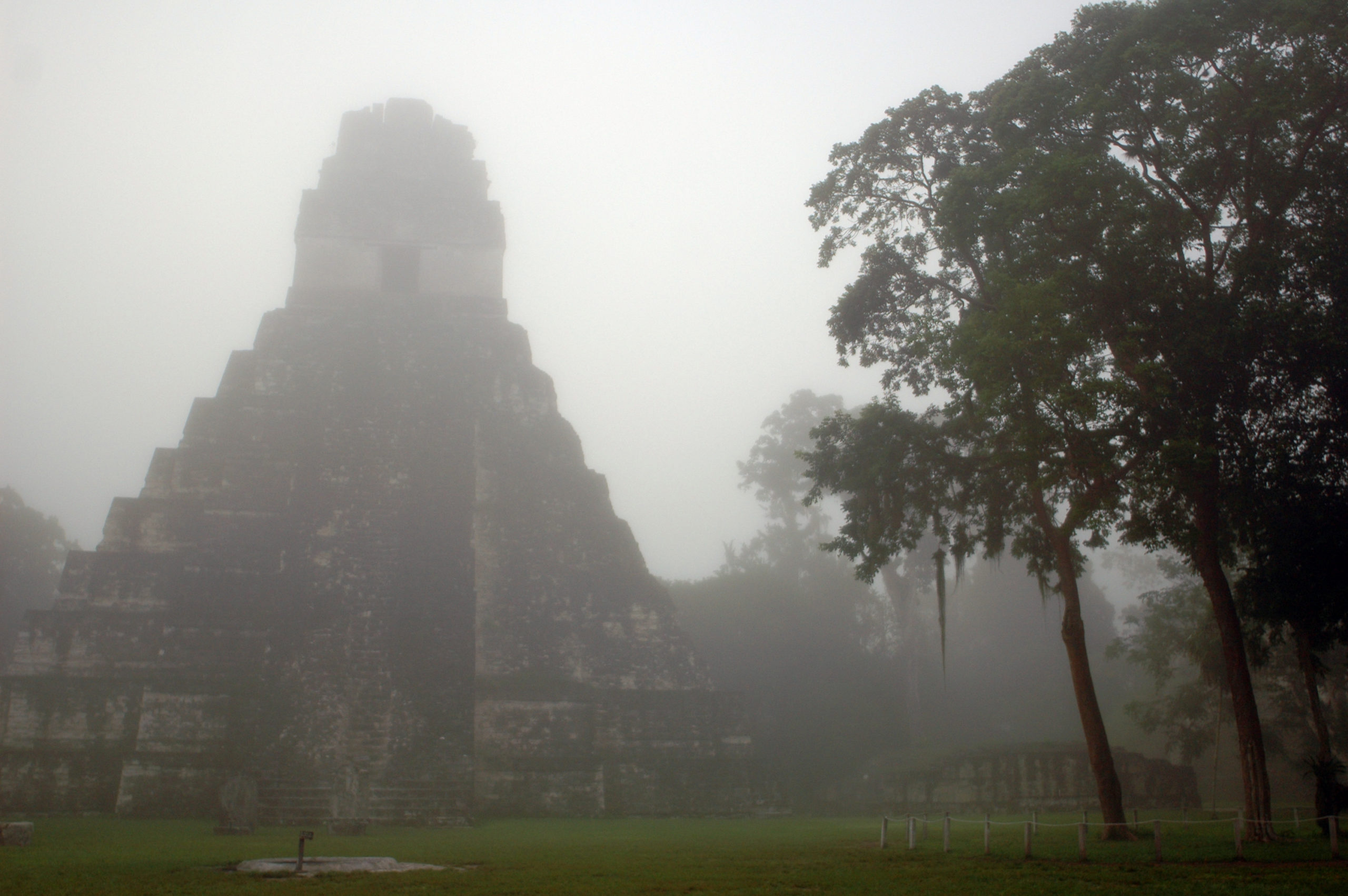 Misty Tikal