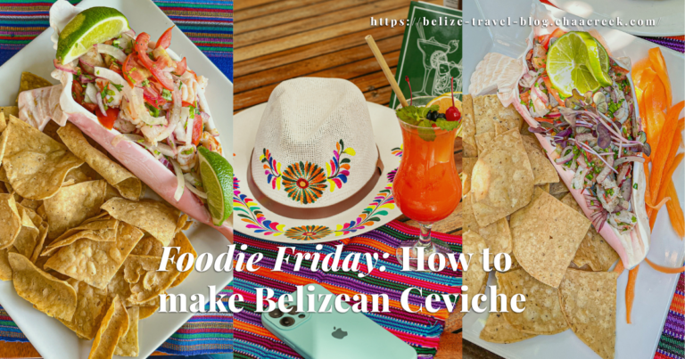 Belize-Ceviche-foodie