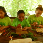 Team fireflies making jungle journals