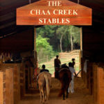 Chaa-Creek-Horse-Stables