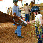 Horse-feeding-Chaa-Creek-Child