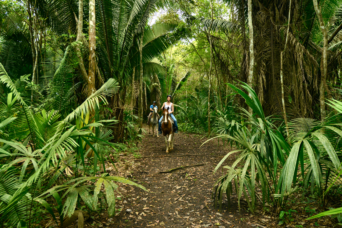 Belize-Horse-Back-riding-Chaa-Creek