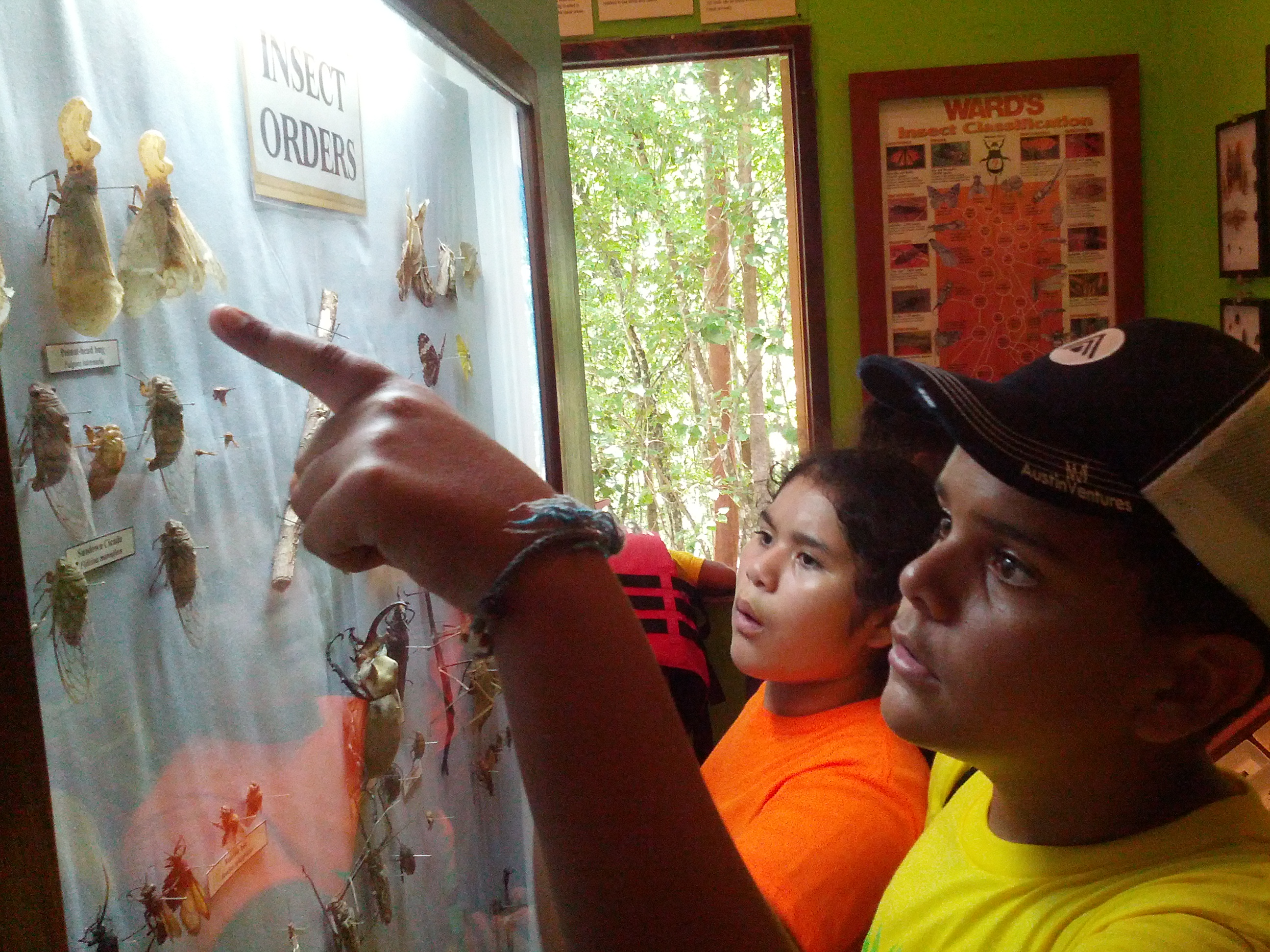 Eco-Kids-natural-history-centre