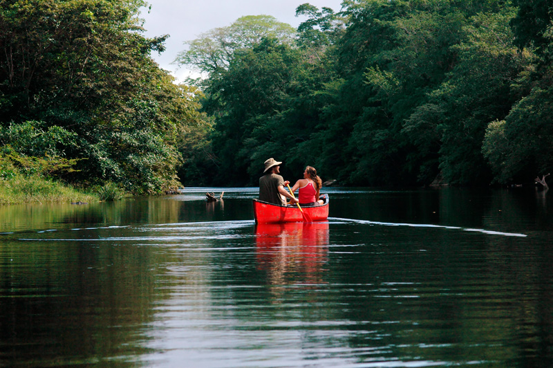 Canoe down the meandering Macal River in Belize!