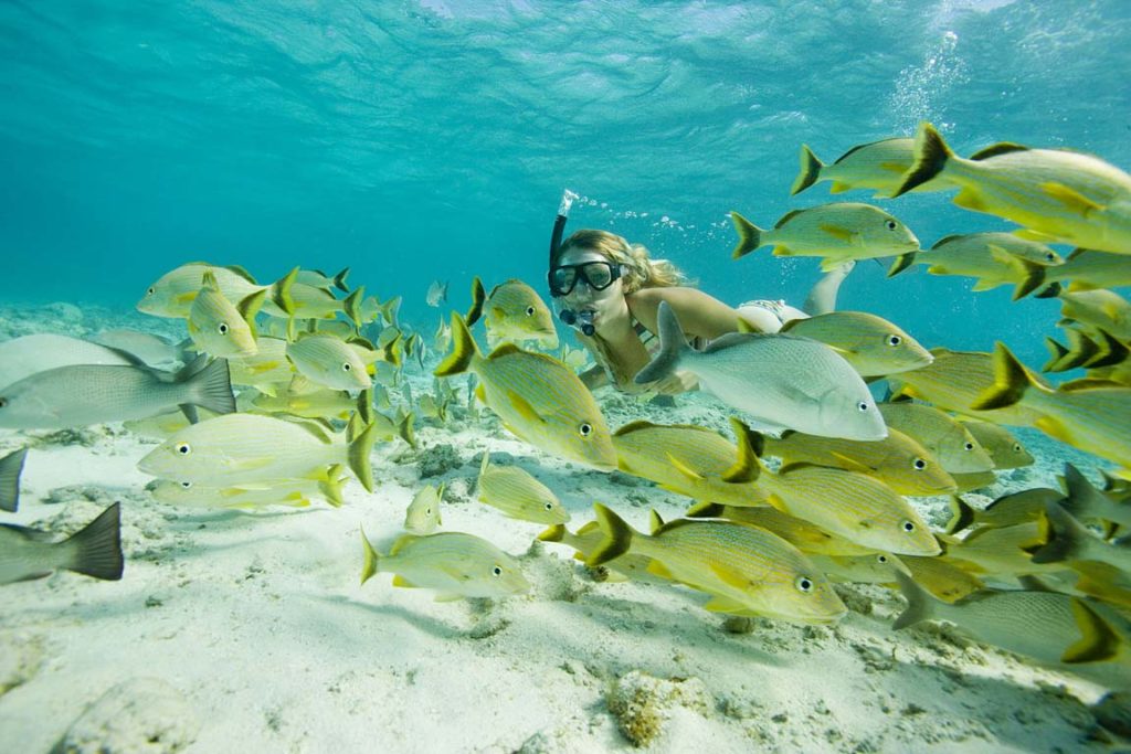 Marine Conservation in Belize gets better!
