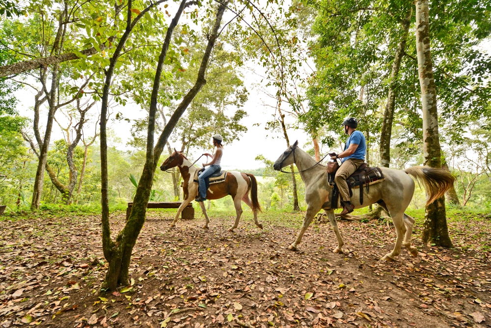 Belize-Horseback-riding-tours-at-chaa-creek