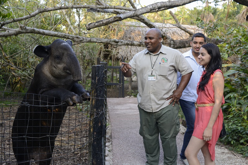 The Wonderland that is the Belize Zoo!