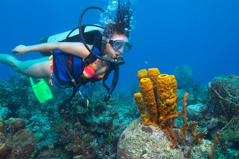 Belize-Barrier-Reef