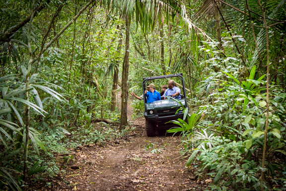 Belize Buggy Mule Rainforest Safari Tours at Chaa Creek is one of the first in its class!