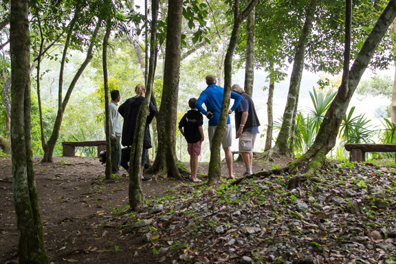 The Belize Buggy Mule Rainforest Safari  Tour is perfect for family!