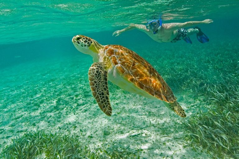 Belize-Snorkeling