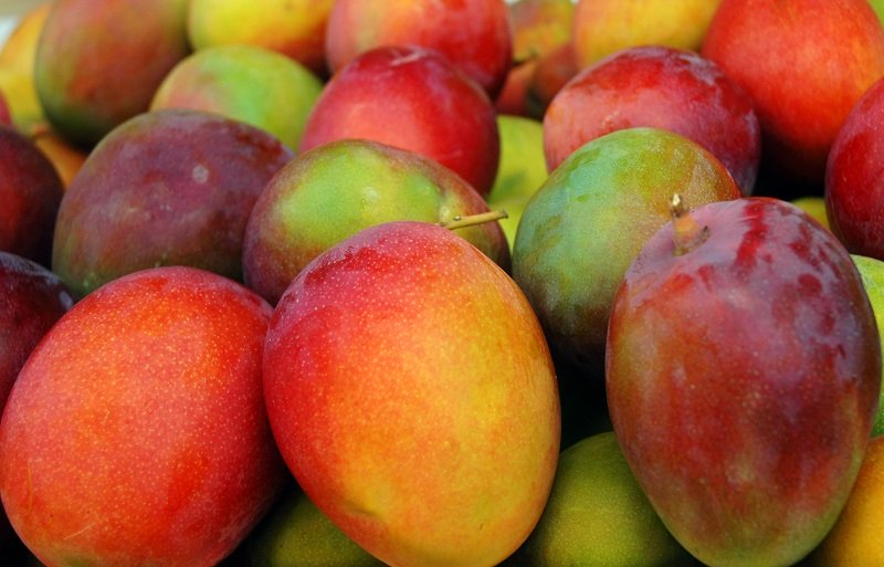 Belize-Fruits-Mango