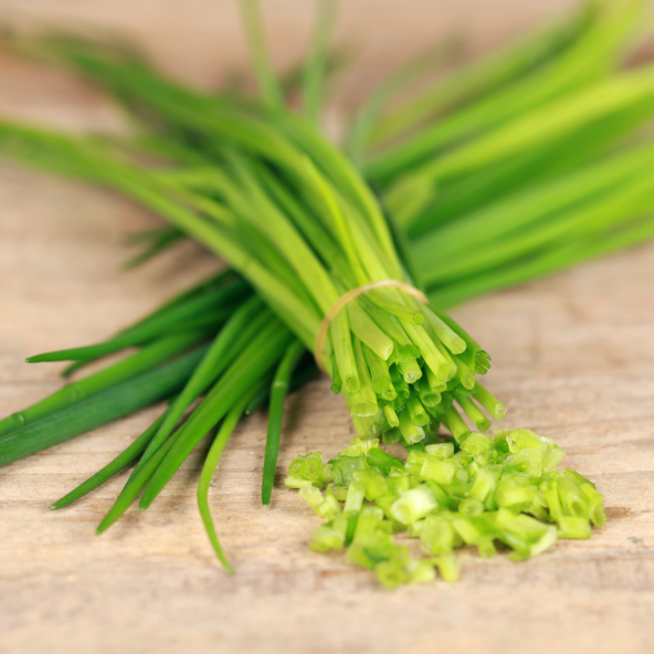 Belize-Herbs-chives