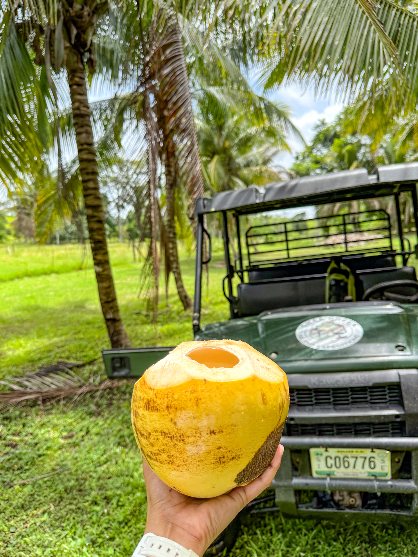 belize coconuts Chaa Creek 