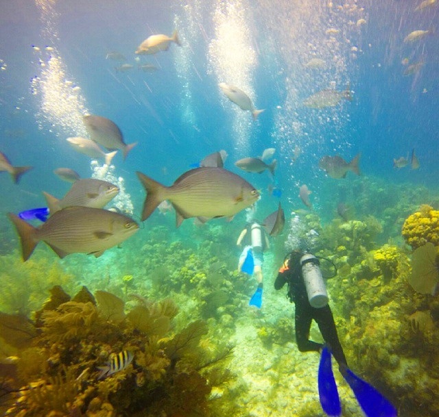 Belize-diving-instagram