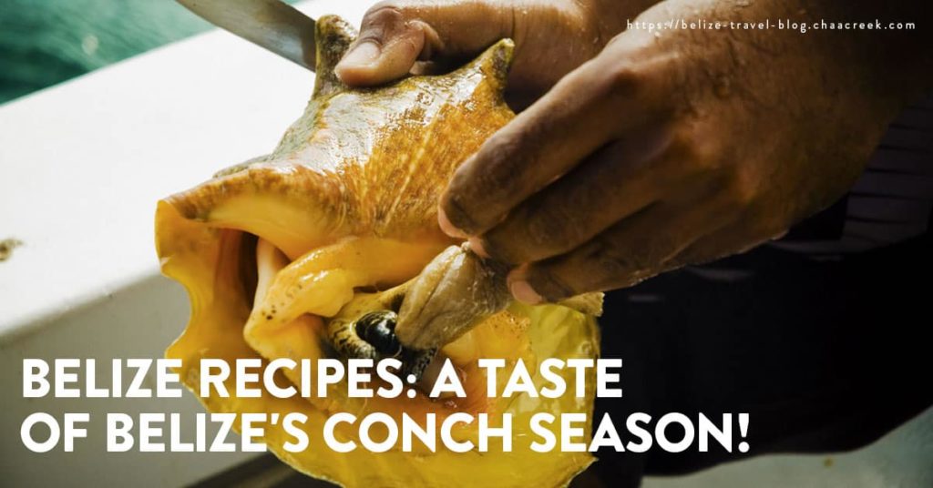 belize conch recipes cooking at chaa creek resort
