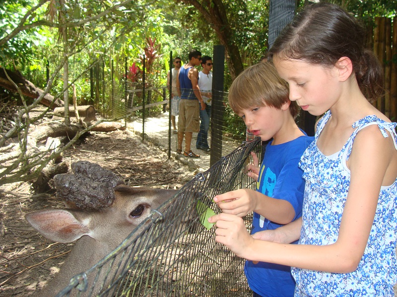 belize-zoo-with-kids