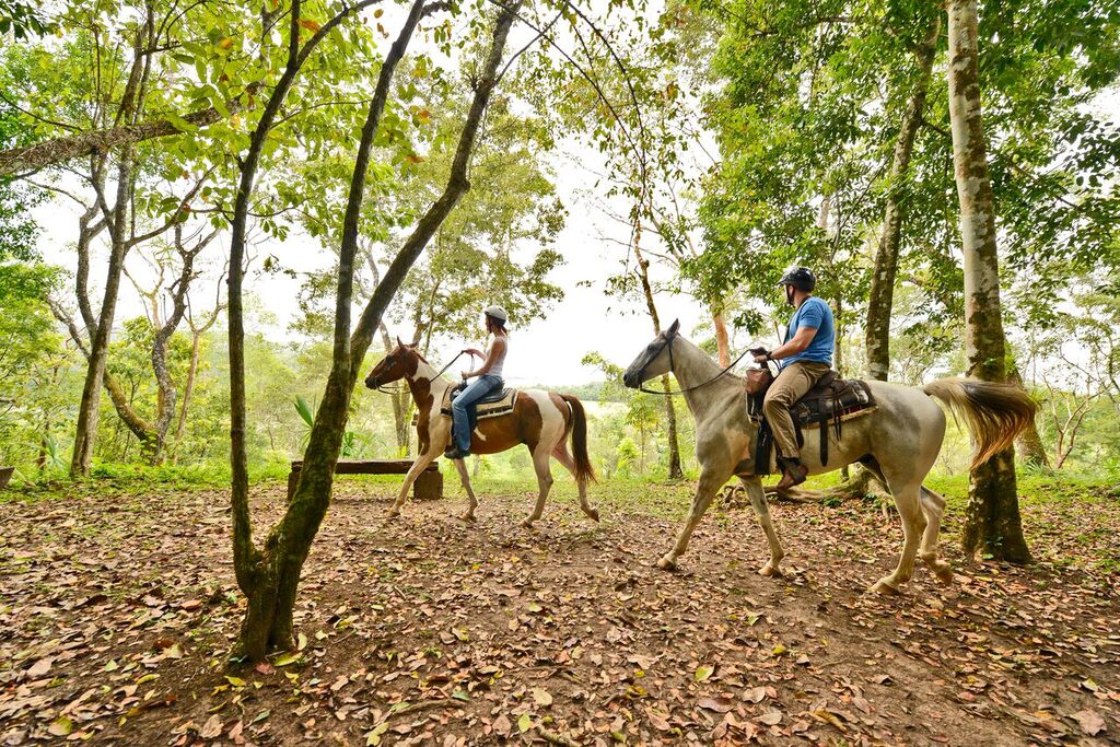 chaa-creek-horseback-riding