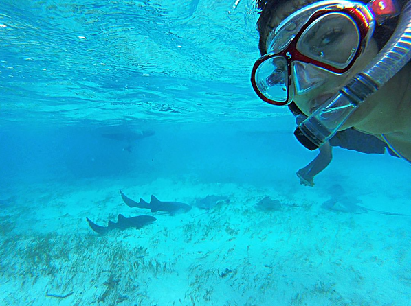 pictures-of-belize-snorkeling-tours-shark-ray-alley