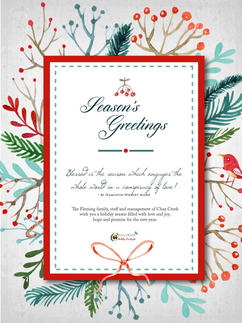 season-greetings-card