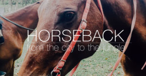 horseback-riding-cayo-belize-chaa-creek-cover