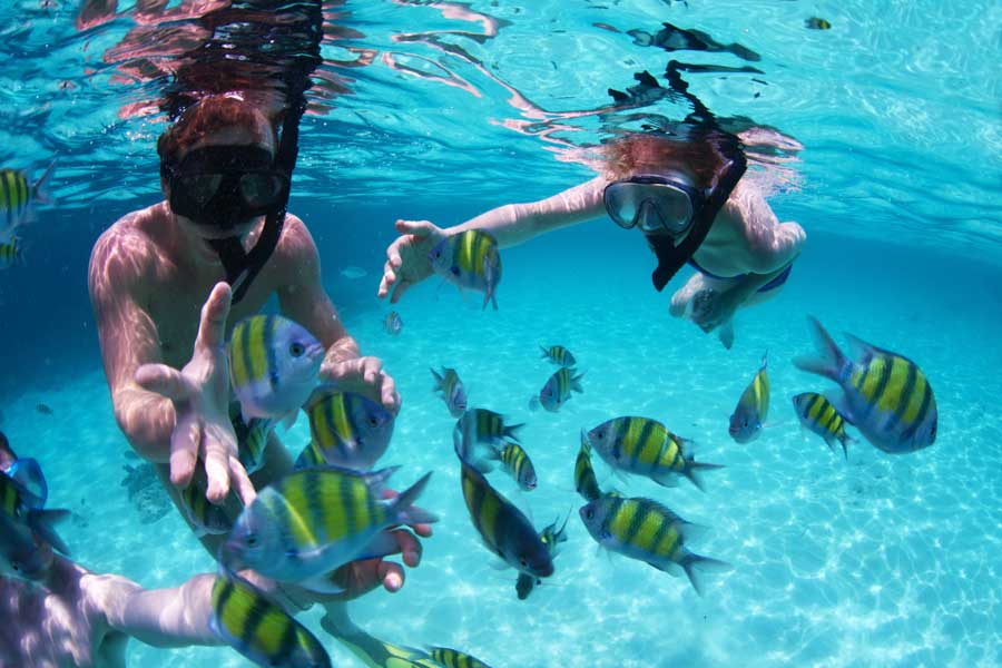 things_to_do_in_belize_snorkeling_diving_travel_guide_chaa_creek