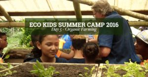 belize_eco_kids_summer_camp_organic_farming_day_5_cover_chaa_creek
