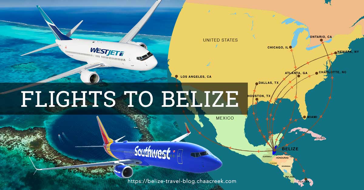 Flights to Belize: Airlines Infographic & Schedule (2022 Update)
