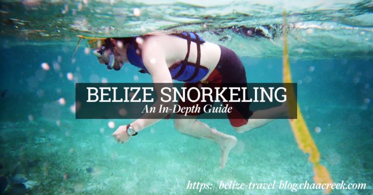 belize_snorkeling_guide_cover_chaa_creek_2
