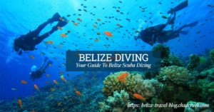 belize_diving_scuba_guide_cover