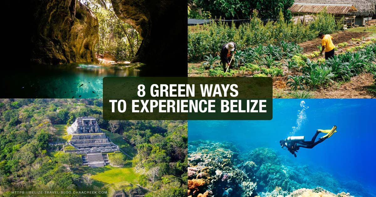 8 Green Ways to Experience Belize in 2022!