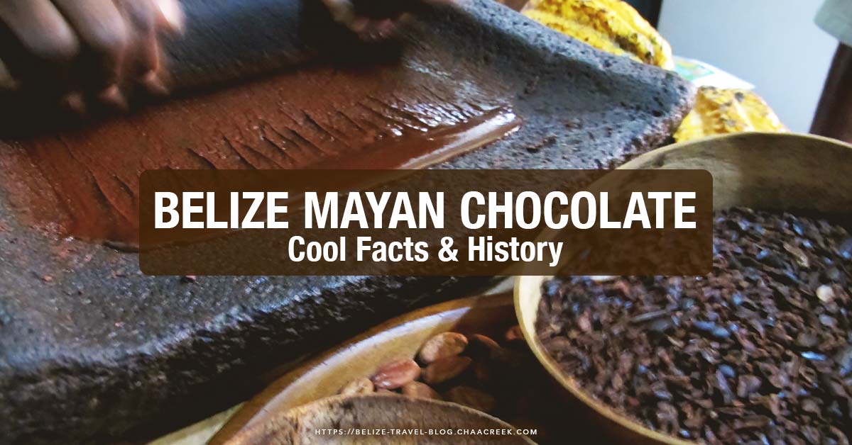 Belize Mayan Chocolate: Cool Facts & History