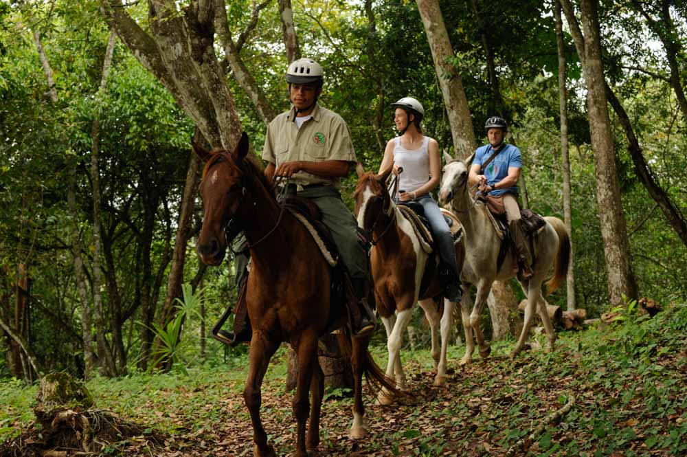 rain-forest-horse-back-riding