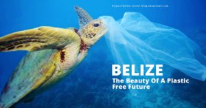 Belize ban plastics and styrofoam