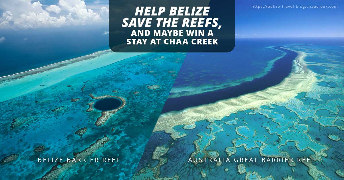 Belize Sister Reef Project Win Vacation