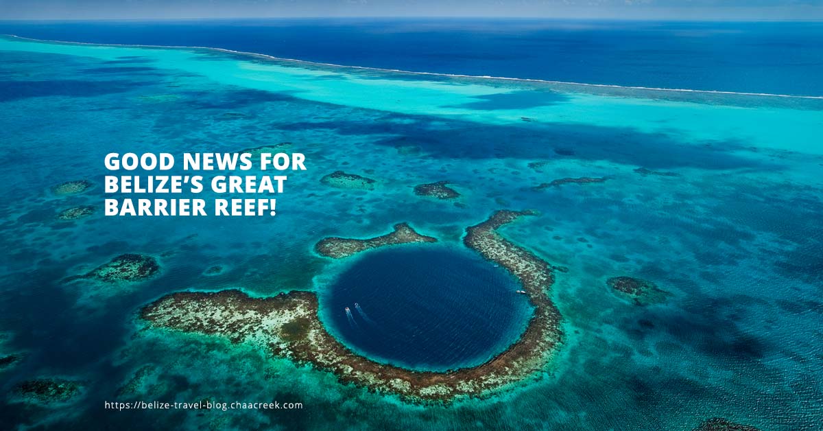 Good news For Belize’s Great Barrier Reef!