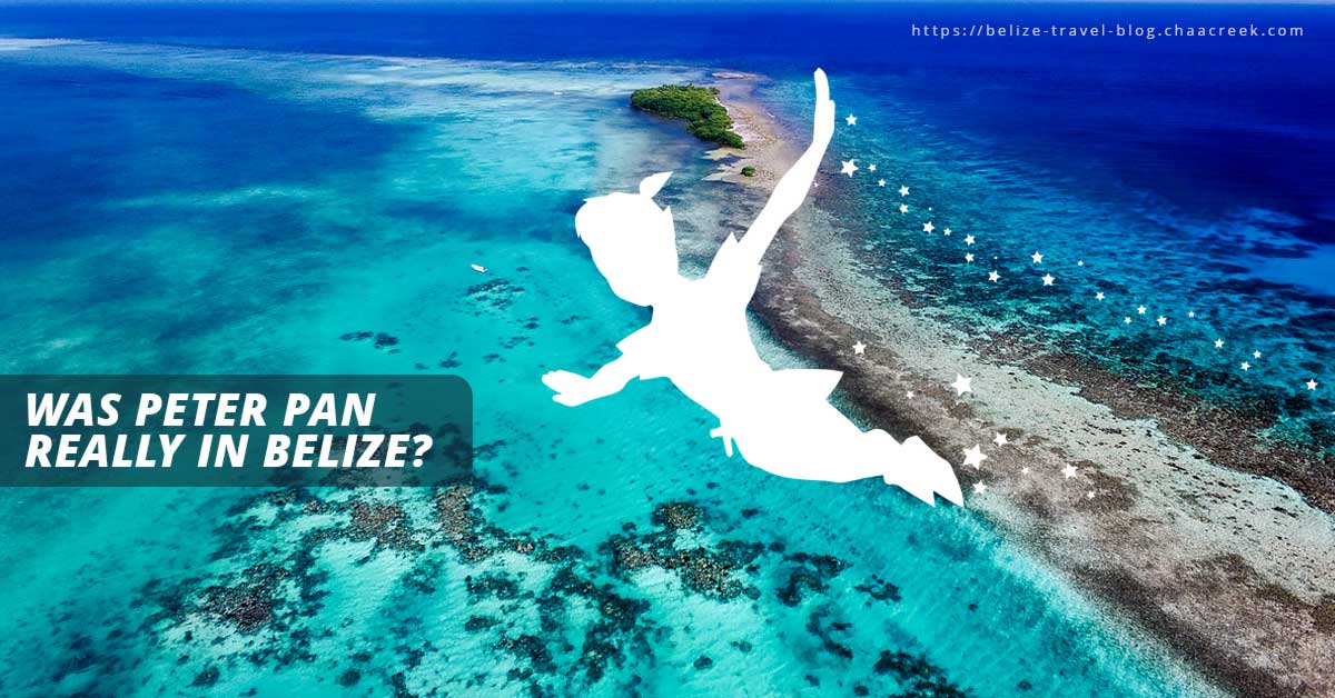 Peter pan neverland turneffe atoll belize
