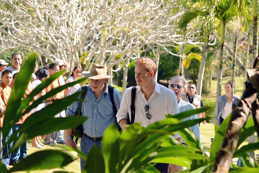 Prince Harry Wedding Honeymoon in Belize