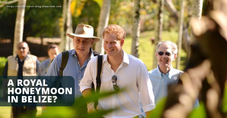 Royal Honeymoon Prince Harry Wedding in Belize
