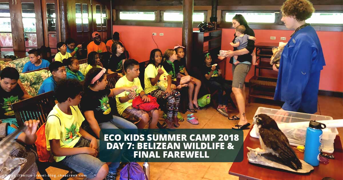 eco kids summer camp 2018 day 7 belize wildlife