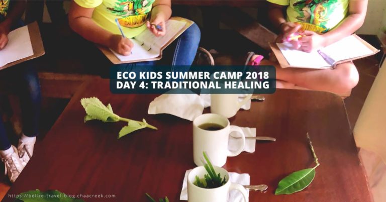 Eco Kids summer camp 2018 Day 4 traditional healing header