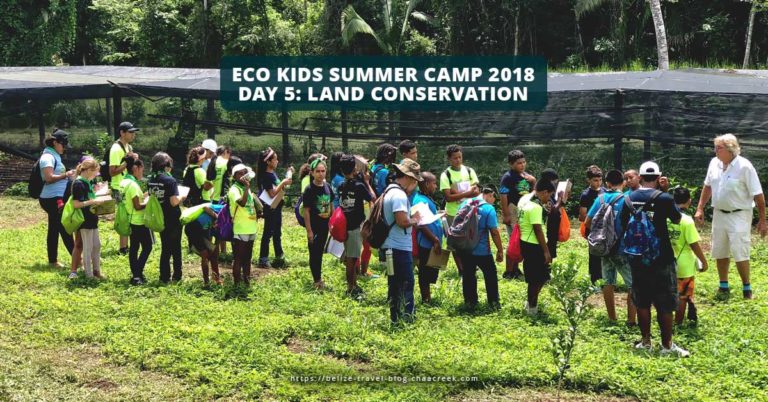 Eco Kids Summer Camp 2018 Day 5 Conservation header