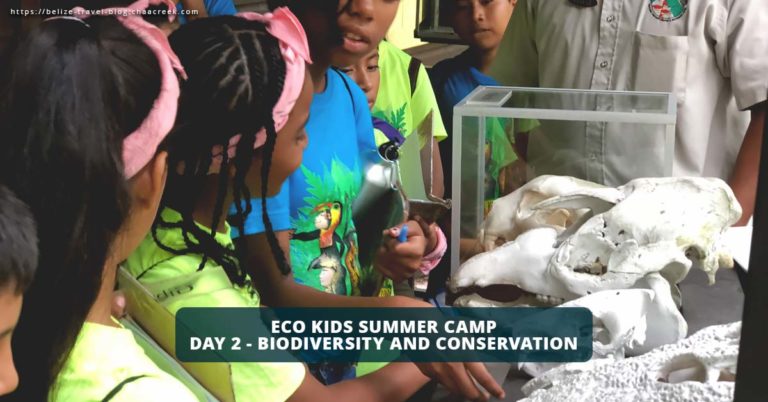 Eco Kids Summer Camp 2018 Day 2 Header
