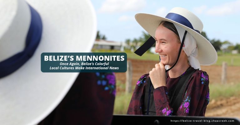 belize mennonites local cultures highlighted in new york times